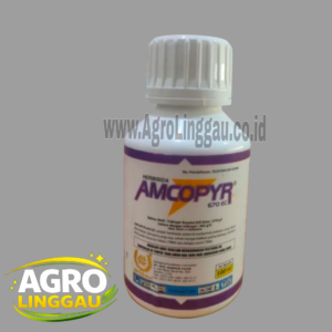 AMCOPYR 670 EC 100 ML