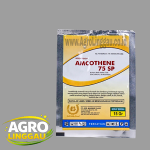 AMCOTHENE 75 SP 15 GRAM