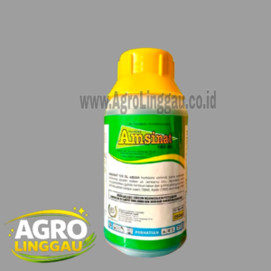 AMSINAT 150 SL 250 ML