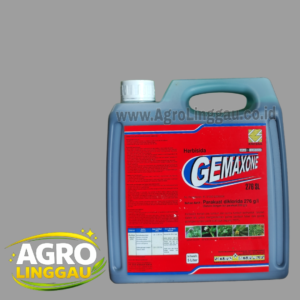 GEMAXONE 276 SL 5 LITER