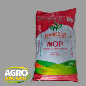 KCL MOP MAHKOTA 50 KG