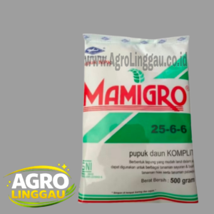 MAMIGRO DAUN 500 GRAM