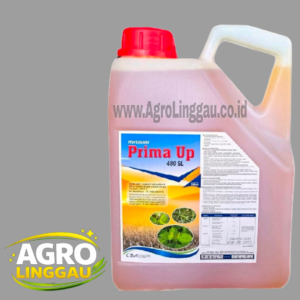 PRIMA UP 480 SL 5 LITER