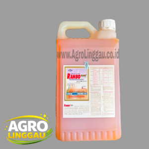 RAMBO GOLD 480 SL 5 LITER