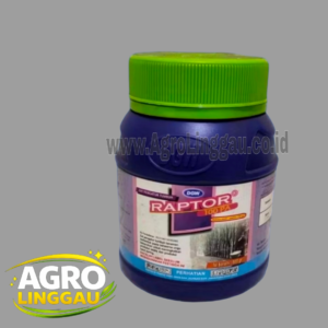 RAPTOR 100 PA 500 GRAM
