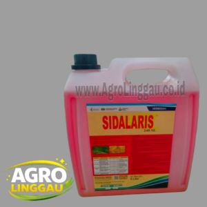 SIDALARIS 240 SL 5 LITER