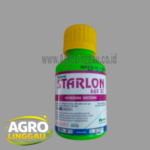 STARLON 665 EC 100 ML