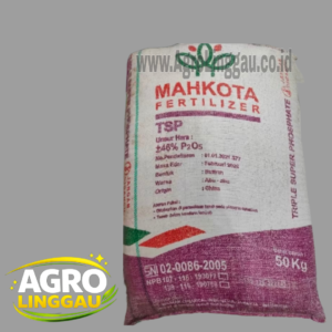 TSP 46% MAHKOTA 50 KG