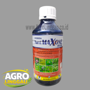 TURRI MAXONE 305,9 SL 1 LITER