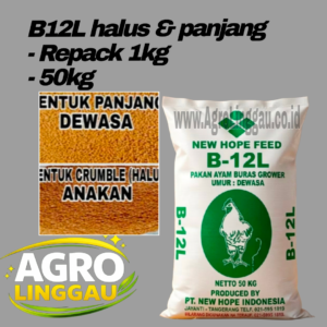 PUR AYAM B12L | PAKAN AYAM BURAS NEW HOPE FEED