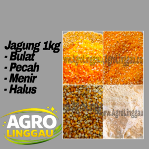 PAKAN JAGUNG PECAH, BULAT, MENIR, HALUS 1 KG