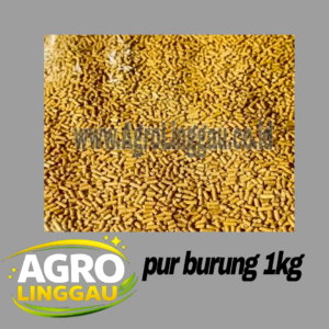 PAKAN BURUNG 1 KG