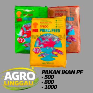 PAKAN PELET BENIH IKAN PF 500, 800, 1000 1 KG & 10 KG