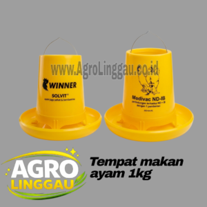 TEMPAT MAKAN AYAM 1 KG /WADAH PAKAN/RANSUM MEDION UKURAN 1KG