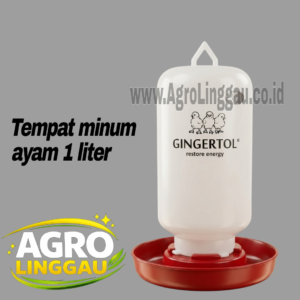 TEMPAT MINUM AYAM 1 LITER / WADAH MINUM AYAM