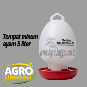 TEMPAT MINUM AYAM 5 LITER / WADAH MINUM AYAM