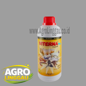 VITAMIN TERNAK VITERNA 500 ML
